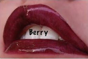 Berry Lipsense Set - Alexia Makeup • Hair • Beauty